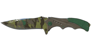 Boreal Forest image