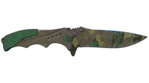 Boreal Forest image