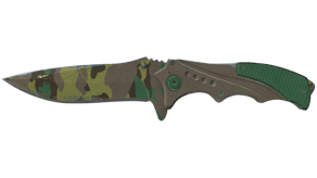 Boreal Forest image