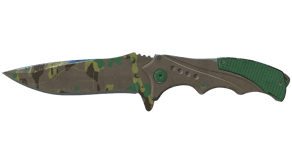 Boreal Forest image