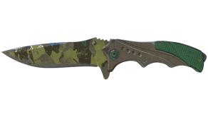 Boreal Forest image