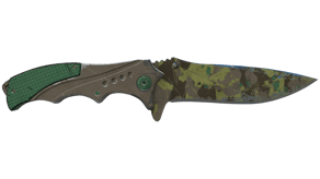 Boreal Forest image