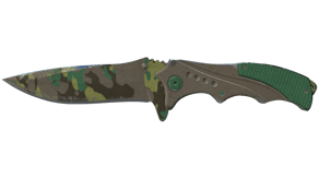 Boreal Forest image