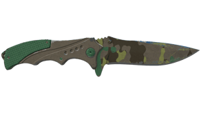 Boreal Forest image