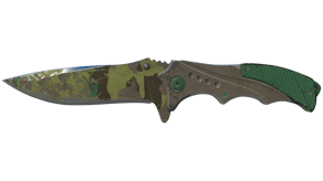 Boreal Forest image