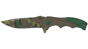 Boreal Forest image
