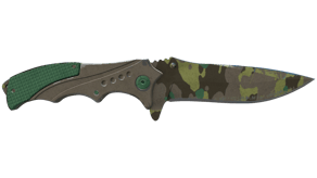 Boreal Forest image