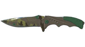 Boreal Forest image