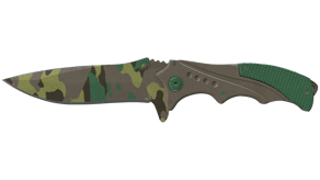 Boreal Forest image