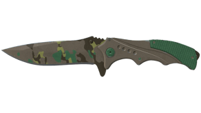 Boreal Forest image