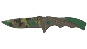 Boreal Forest image