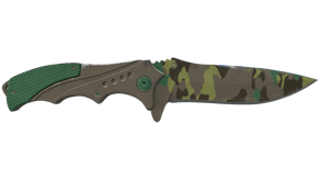 Boreal Forest image