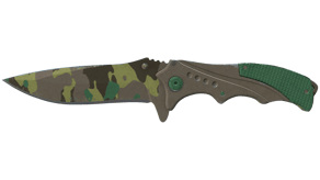 Boreal Forest image
