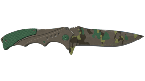 Boreal Forest image