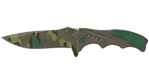 Boreal Forest image