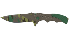 Boreal Forest image
