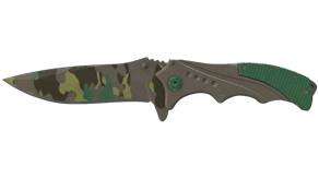 Boreal Forest image