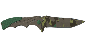 Boreal Forest image