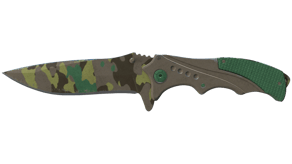 Boreal Forest image