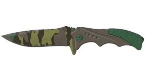 Boreal Forest image