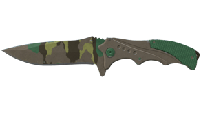Boreal Forest image