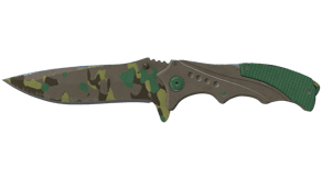 Boreal Forest image