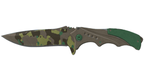 Boreal Forest image