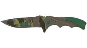 Boreal Forest image
