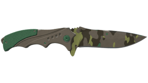Boreal Forest image