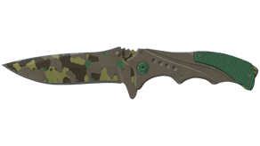 Boreal Forest image