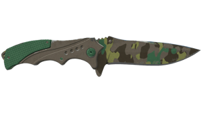 Boreal Forest image