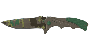 Boreal Forest image