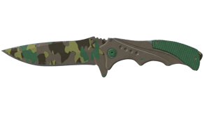 Boreal Forest image