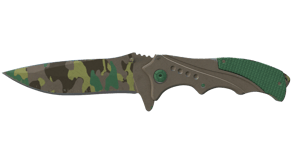 Boreal Forest image