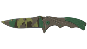 Boreal Forest image