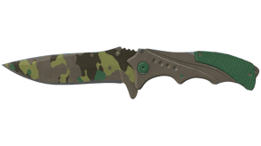 Boreal Forest image