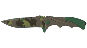 Boreal Forest image