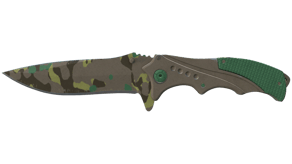 Boreal Forest image