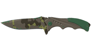 Boreal Forest image