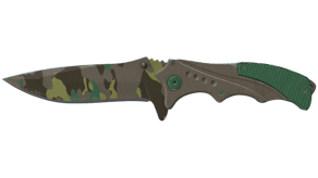 Boreal Forest image