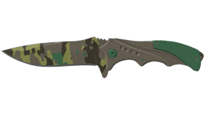 Boreal Forest image