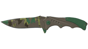 Boreal Forest image