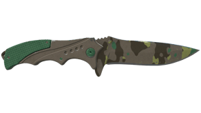 Boreal Forest image