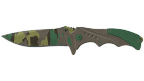 Boreal Forest image