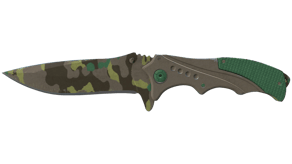 Boreal Forest image