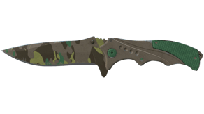 Boreal Forest image