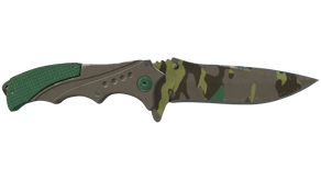 Boreal Forest image