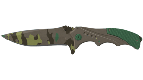 Boreal Forest image