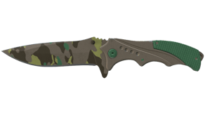 Boreal Forest image
