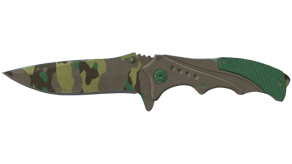 Boreal Forest image